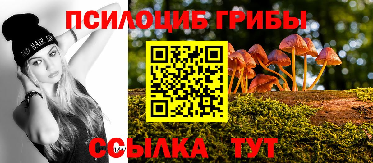 Кемерово  Псилоцибиновые грибы мицелий  Вход с VPN 