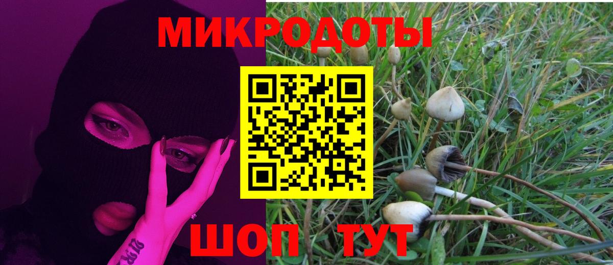 Псилоцибиновые грибы Cubensis Кемерово
